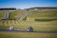 Lower Group Black Bikes